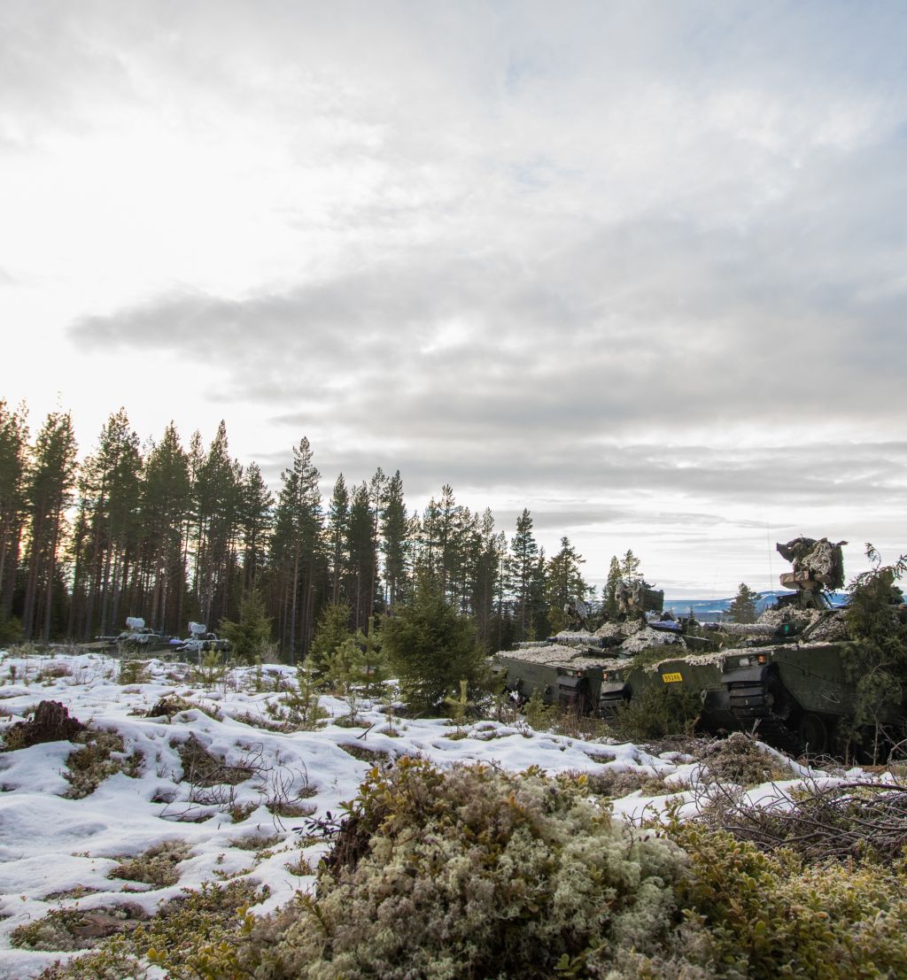 Tanks i senvinterlandskap