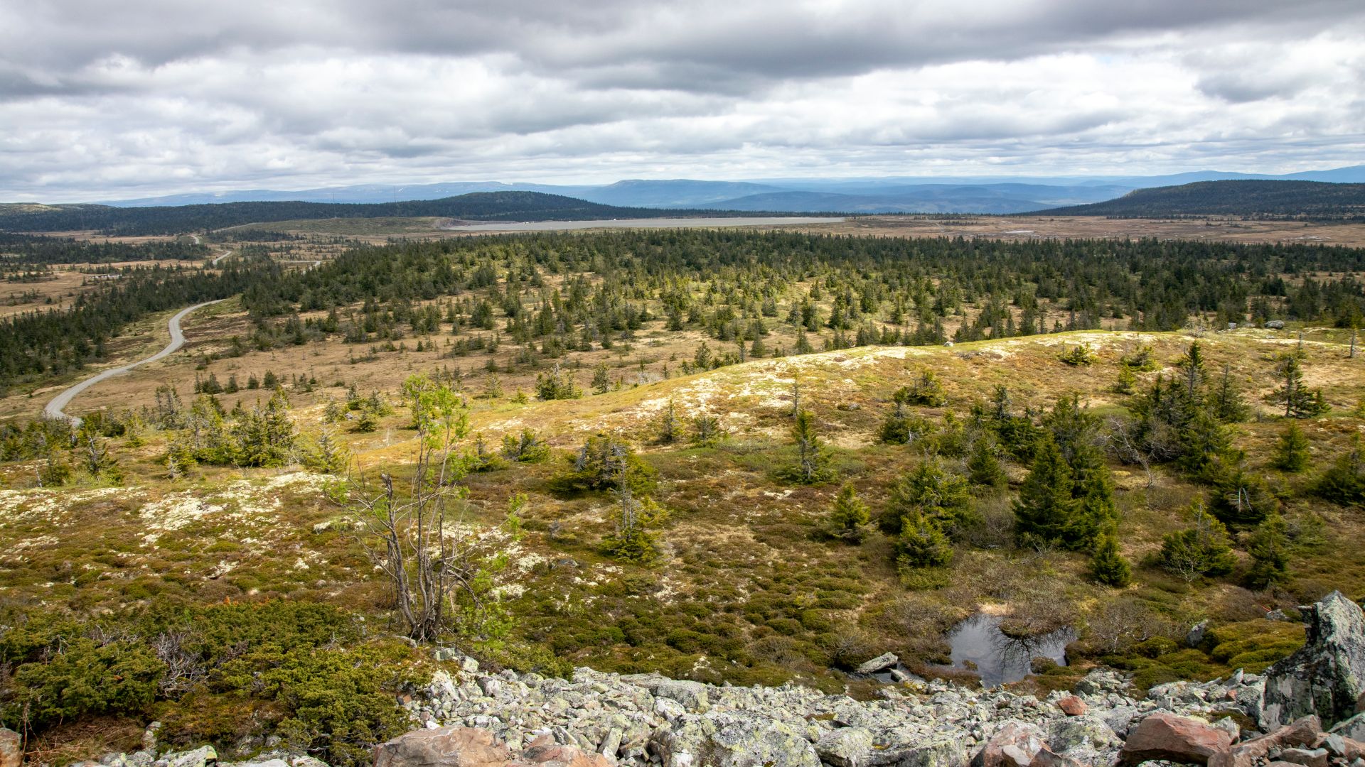 Landskapsbilde fra nord for Rena