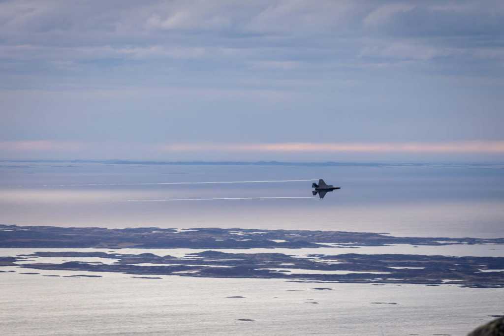 Kamfly med hav, øyer og land i bakgrunnen.
