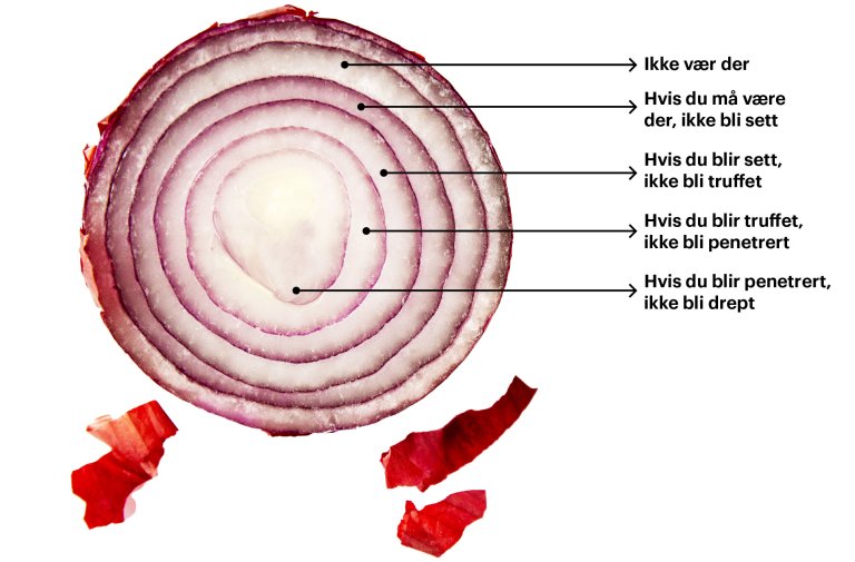 En løk som illustrerer ulike lag på tryggleik. Fra ytterst til innerst lag står det "Ikke vær der", "Hvis du må være der, ikke bli sett", "Hvis du blir sett, ikke bli truffet", Hvis du blir truffet, ikke bli penetrert" og "Hvis du blir penetrert, ikke bli drept". 