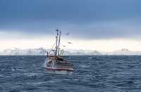 Bilde av fiskeskøyte på havet et sted i Nord Norge. Snødekte fjell i bakgrunnen.