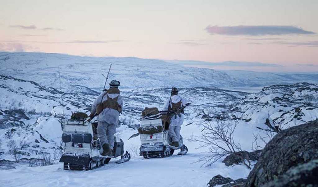 Soldater fra Telemark Bataljon skarpskytter tropp er på oppdrag under Joint Viking 2017 // Soldier from Telemark Batalion during exercise Joint Viking 2017.