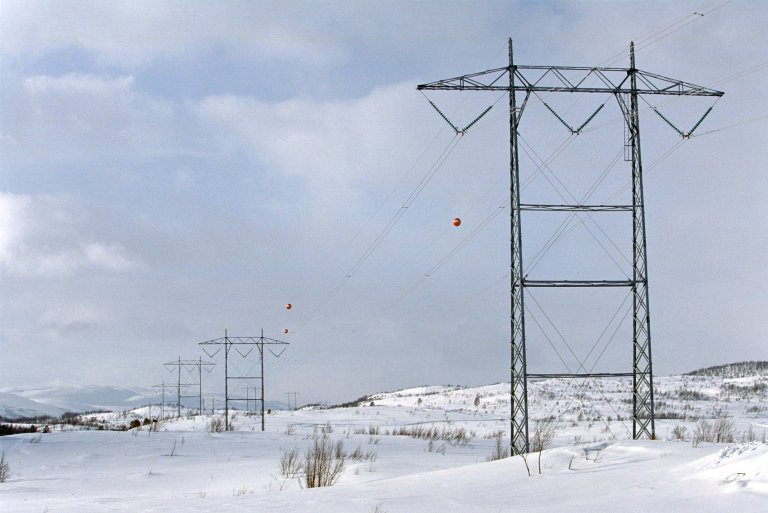 Strømmast i norsk natur.