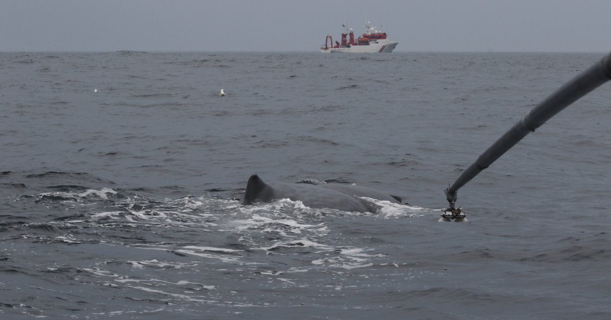 Download Havet tema tapet Desktop Wallpaper