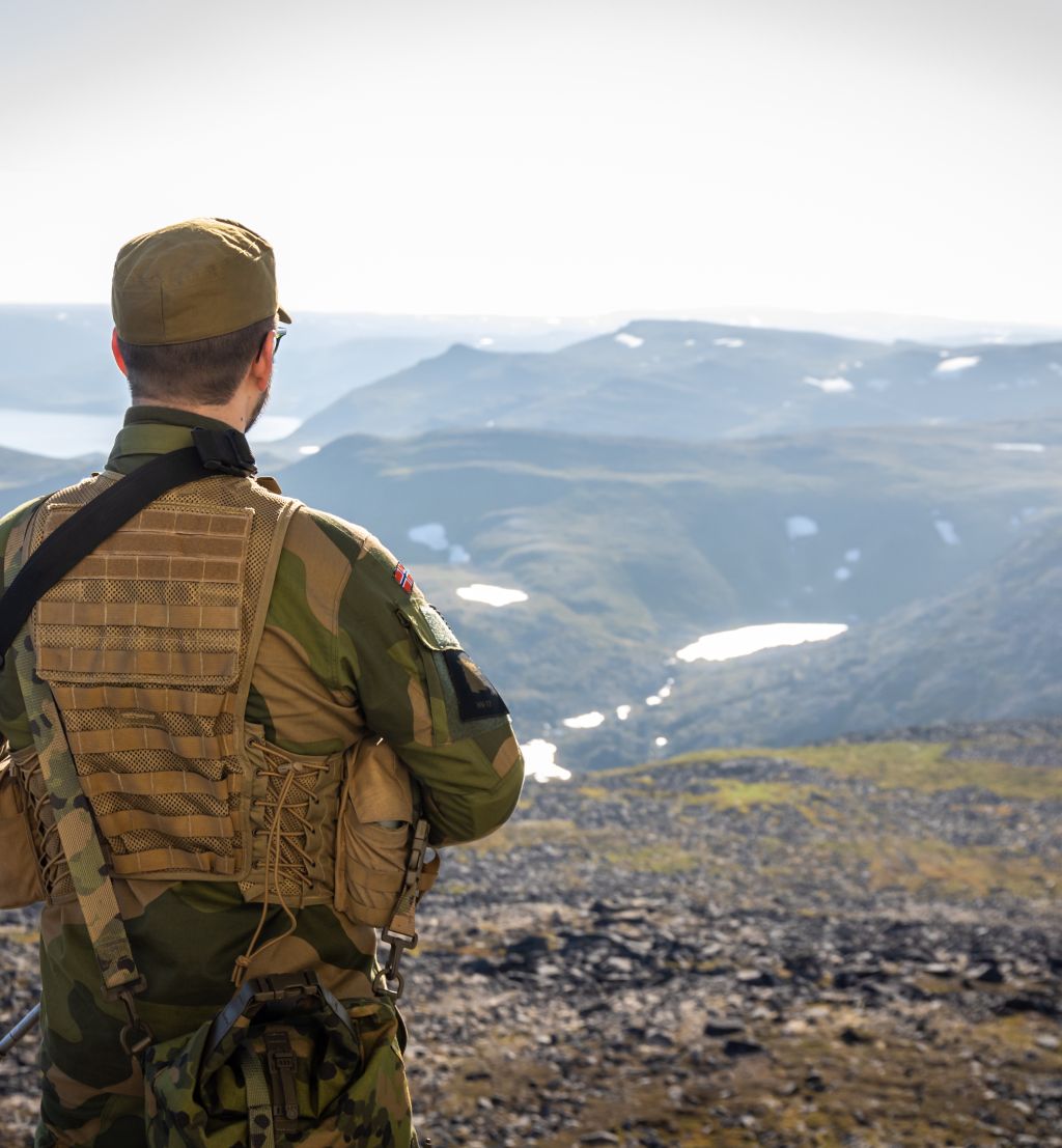 Soldat med ryggen til kamera. Utsikt. Sol. Nordnorsk fjord og fjellandskap med lyng og snøflekker. 