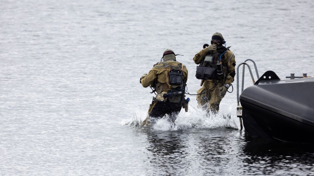 To dykkere fra forsvarets spesialkommando hopper i vannet. Høst.