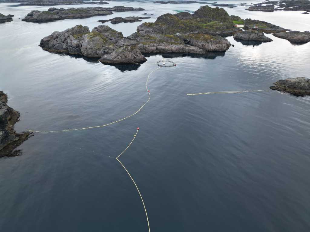 Dronebilde av anlegget der forskere har forsøkt å måle hørselen til vågehval. Holmer, skjør og gule flytebøyer synes.