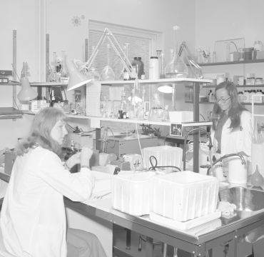 Labben på avdeling toksiologi 1974