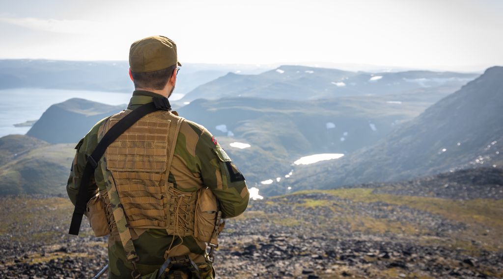 Soldat med ryggen til kamera. Utsikt. Sol. Nordnorsk fjord og fjellandskap med lyng og snøflekker. 
