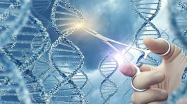 Illsutrasjon av genredigering. DNA-molekyler