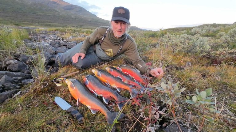 Mann ligger i lyngen med seks flotte røyer foran seg.