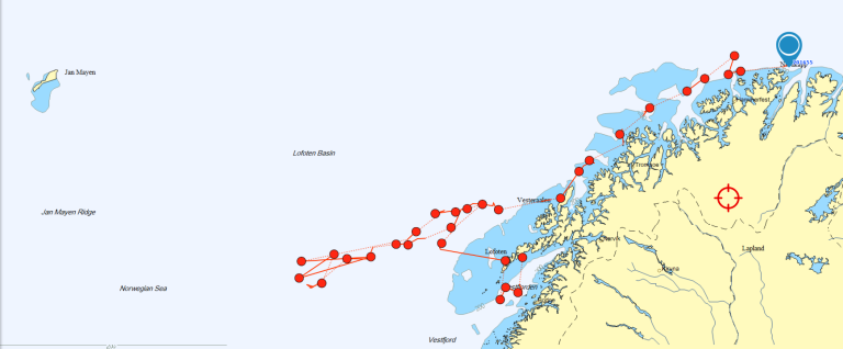 Map of whale migration, tracked with a sattellite tag.