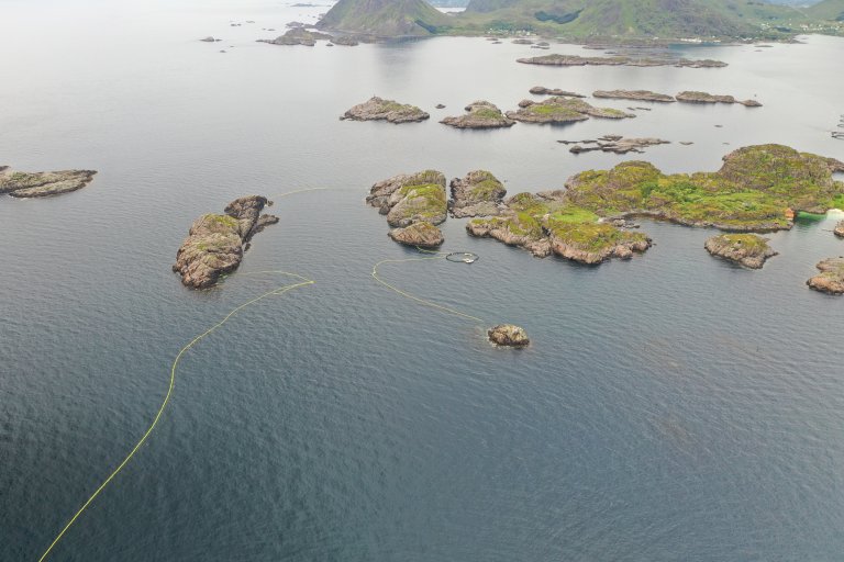 Catch and release site for minke whales in Lofoten 2021.