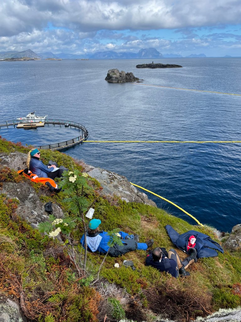 Victoria Vinje, Dr. Dorian Houser and Dr. Petter Kvadsheim scouting for incoming minke whales from Æsøya in Lofoten.