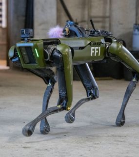 Robothund går inne i lagerbygning. Foto