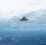 F-35A kampfly fra Luftforsvaret flyr over Bardufoss flystasjon under vinter øvelsen Cold Response 2022