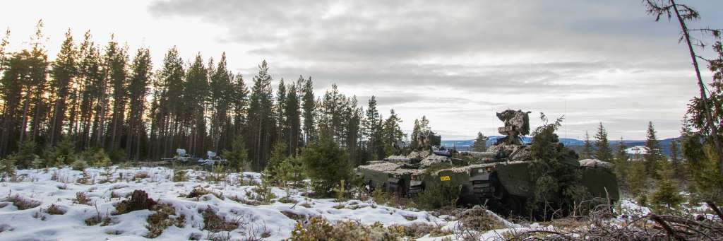 Tanks i senvinterlandskap