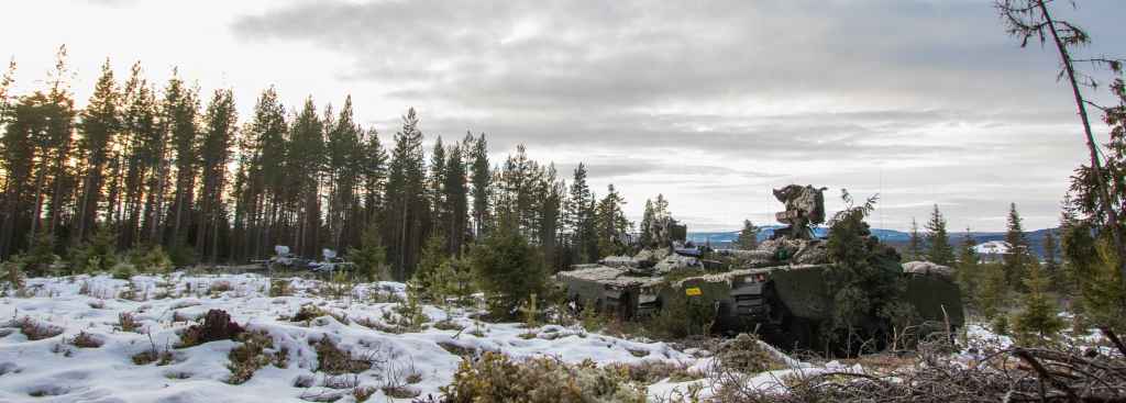 Fire stridsvogner fra TMBN under øvelsen Ymer Viking. // Four tanks from TMBN during the exercise Ymer Viking