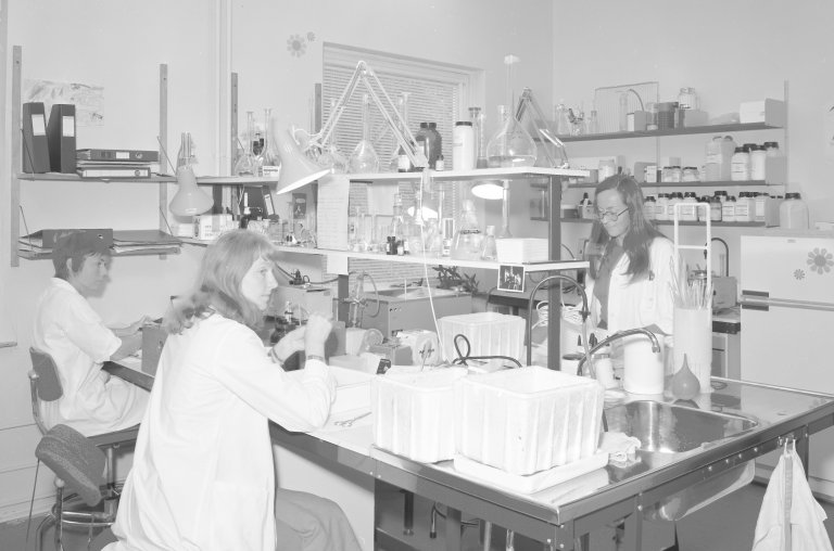 Labben på avdeling toksiologi 1974