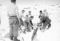 FFI-forskere gjør klart for forsøk med Terne i 1950. Foto