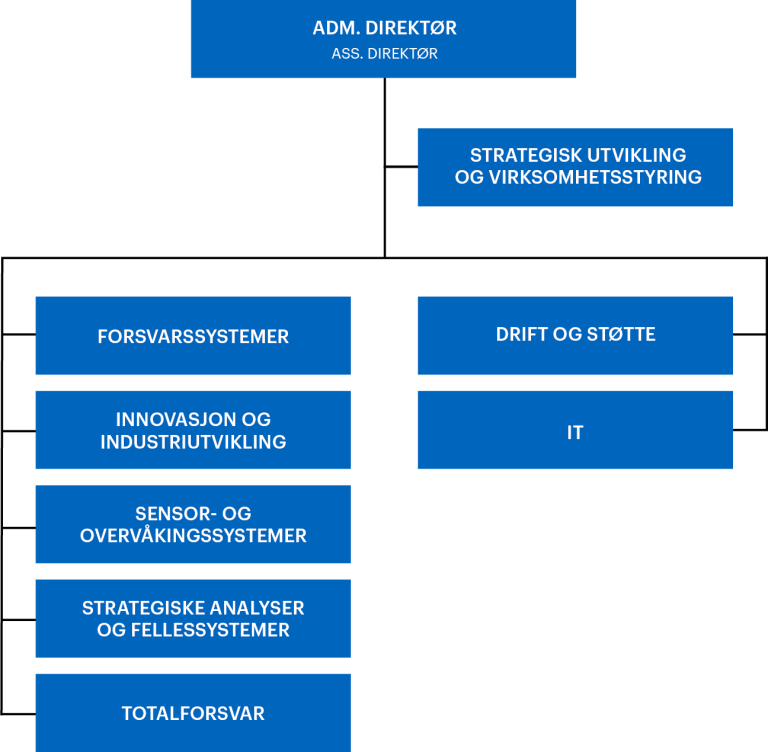 Grafisk fremstilling av FFIs avdelinger og organisasjon.